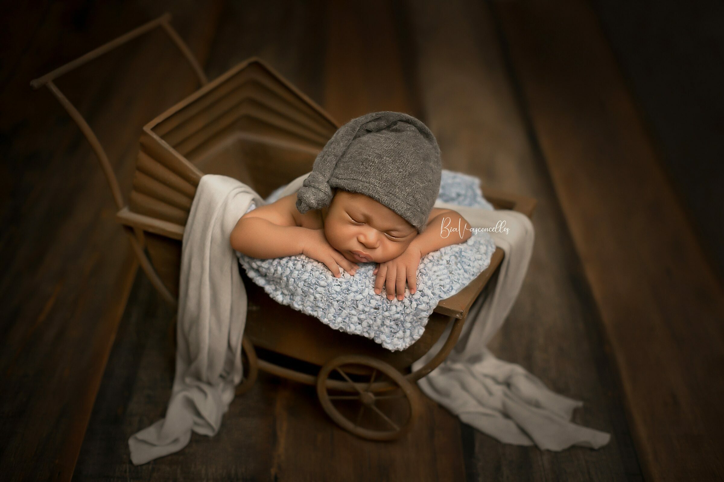 Foto de Bia Vasconcellos Fotografia 3