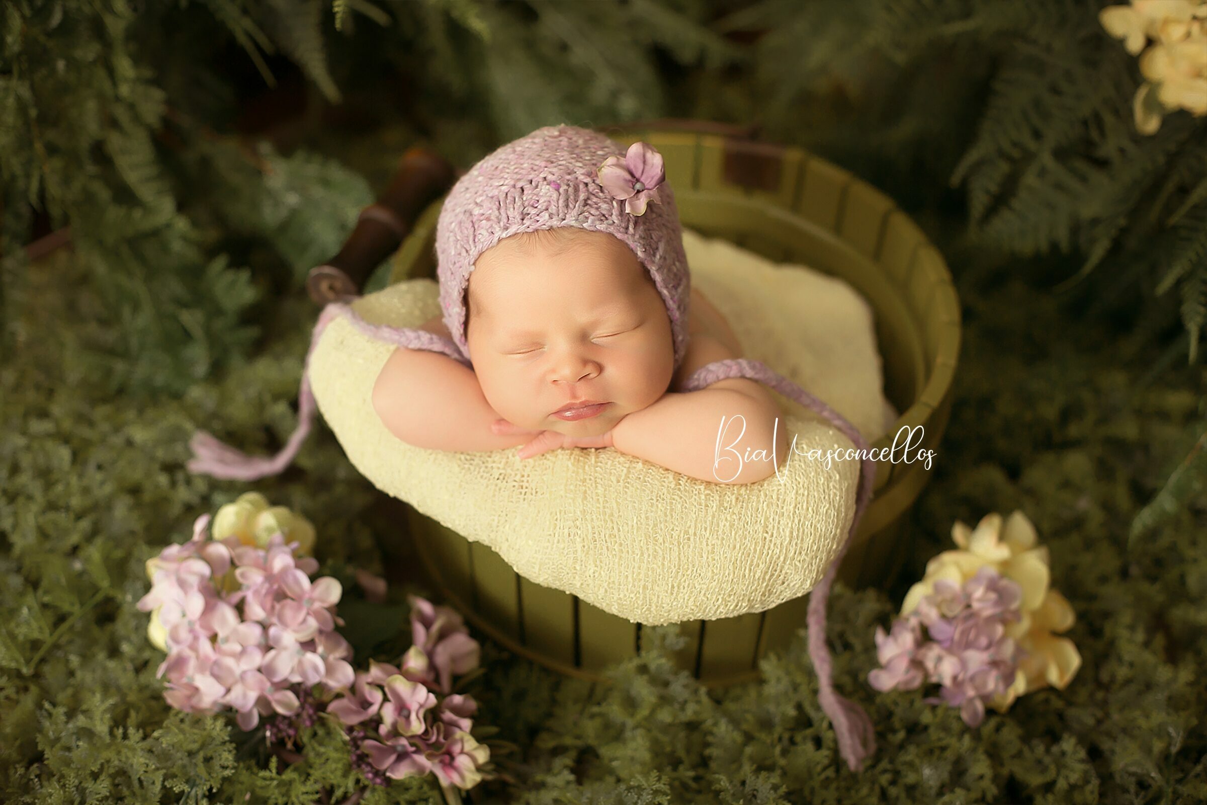 Foto de Bia Vasconcellos Fotografia 1